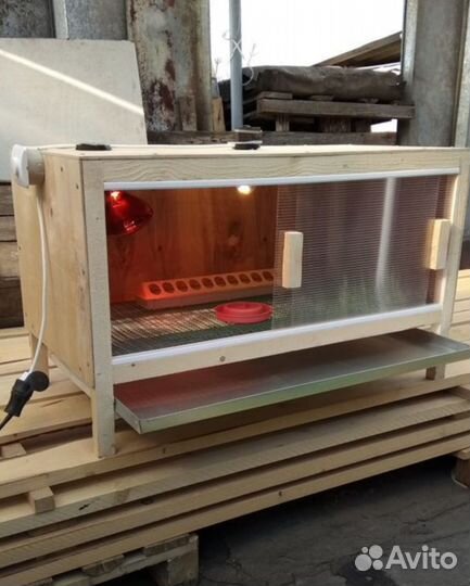 Брудер для цыплят под ключ