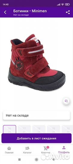 Ботинки демисезонные minimen