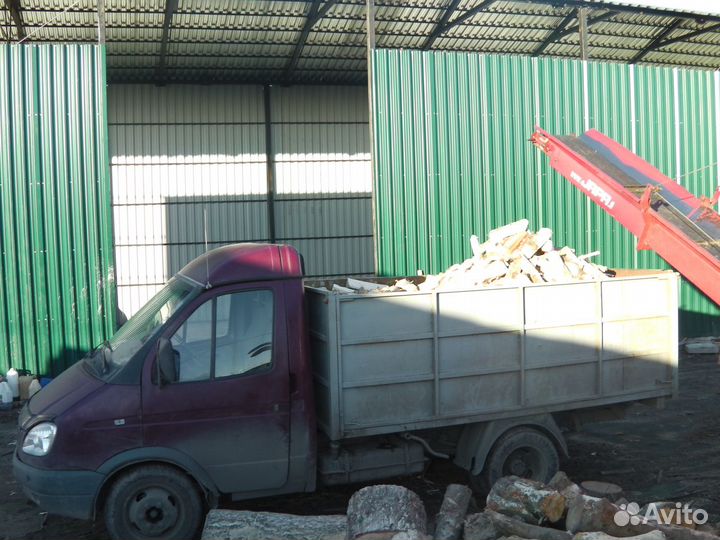 Дрова береза