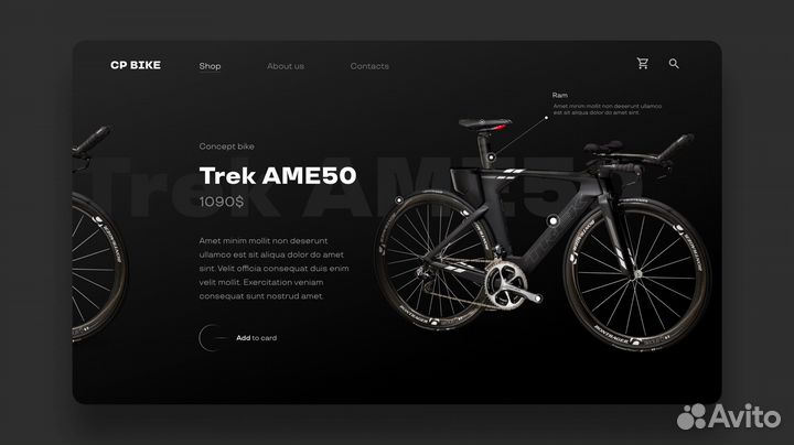 Веб дизайнер