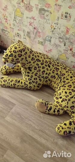 Отдам бесплатно