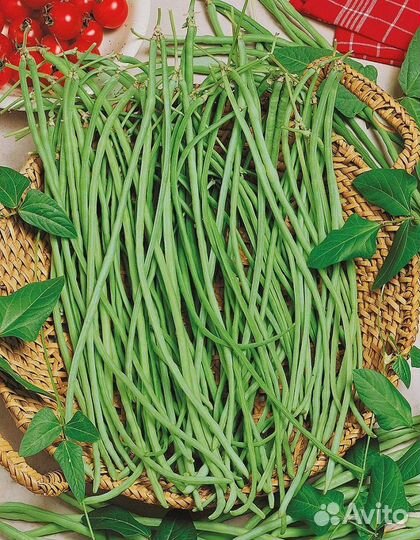 Фасоль Золотая сакса 5 гр б.п