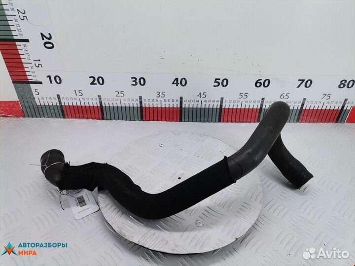 Патрубок радиатора Peugeot 3008 2010 1351QS