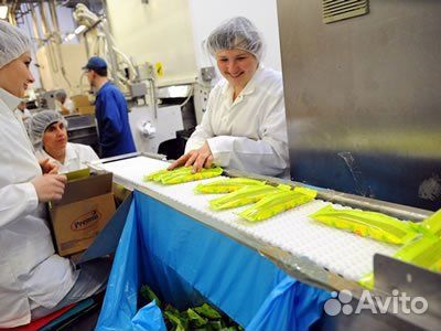 Укладчик упаковщик мороженого. Вахта с питанием