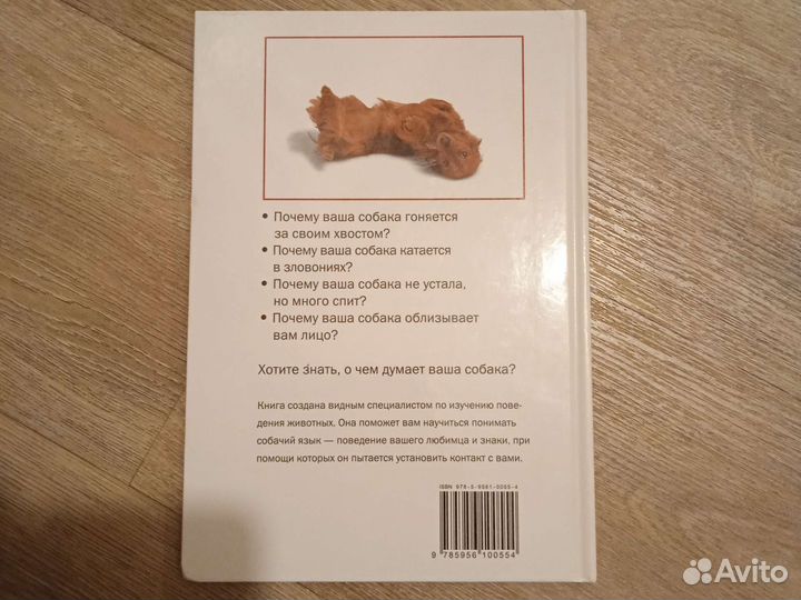 Гвен Бэйли О чем думает ваша собака