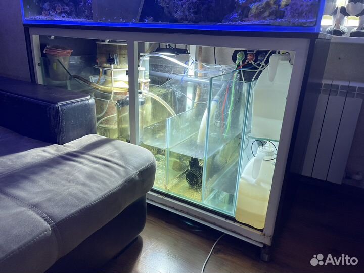 Морской аквариум дл заселения