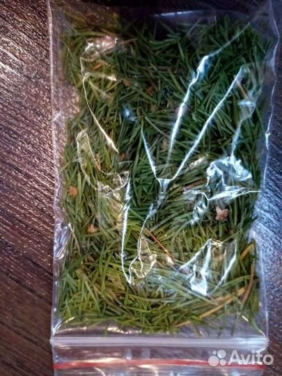 Хвоя и иголки сосны, ели, пихты, кедра