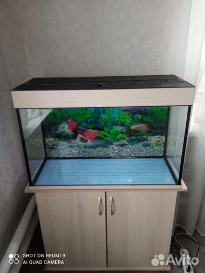Аквариум с тумбой