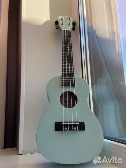 Укулеле концерт