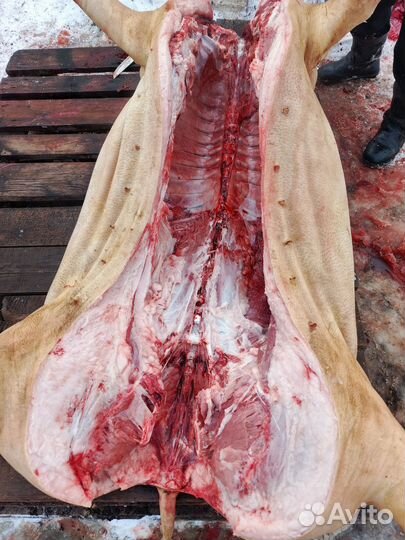 Мясо свинина домашняя