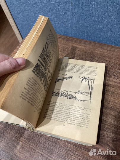 Верн Ж,Дунайский лоцман,Прикл.экспедициибарсака