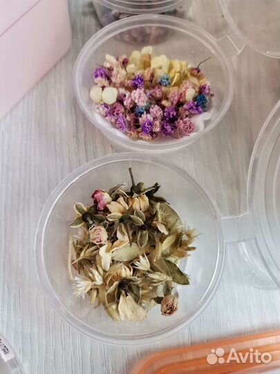 Сухоцветы для творчества