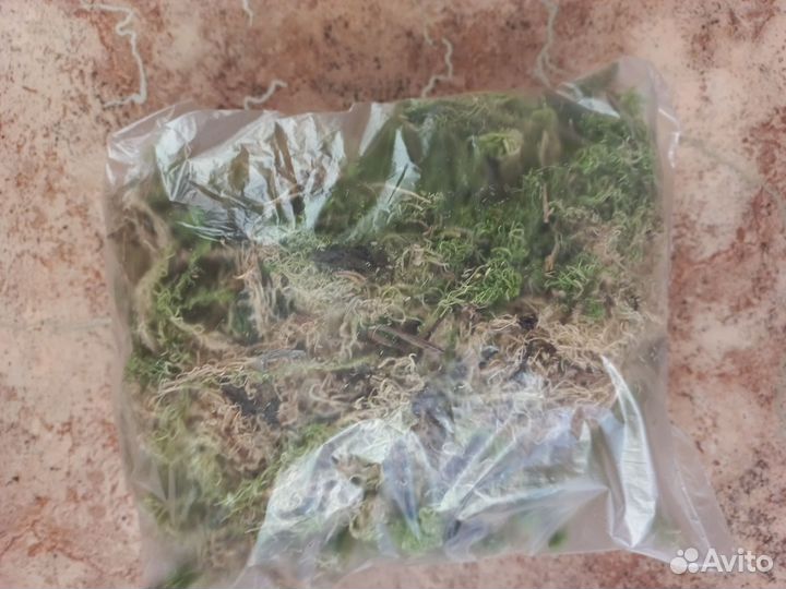 Кора сосны для орхидей