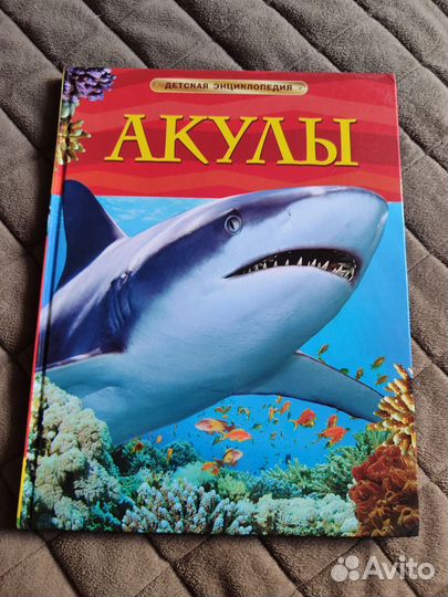 Букварь надежда жукова