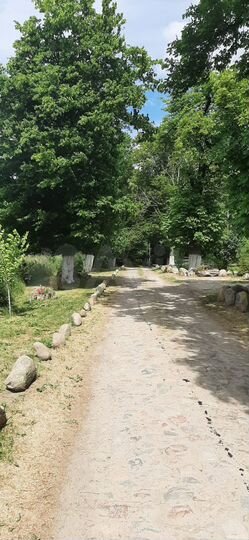 Участок 8 сот. (ИЖС)