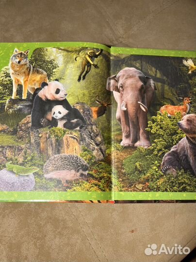 Детская энциклопедия с доп. Реальностью Astar