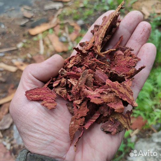 Мульча кора лиственницы