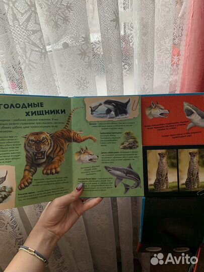 Книга с 3d картинками