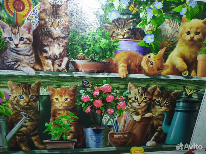 Пазлы 1500 элементов