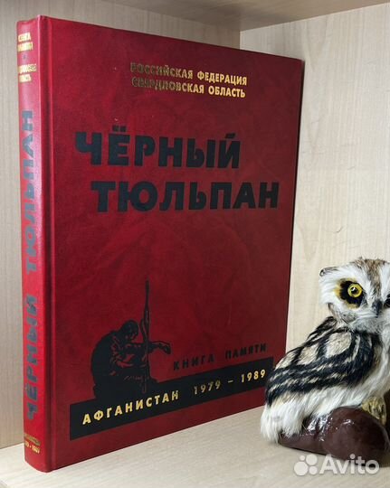 Черный тюльпан. Книга Памяти Афганистан 1979 - 19