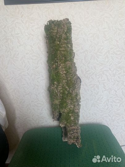 Кора пробкового дуба для террариума