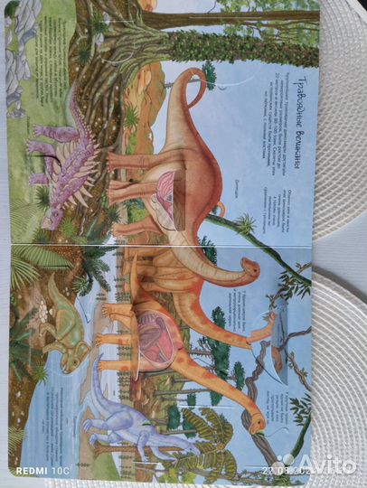 Книги детские с окошками