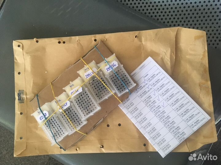 Пчелопакет пчелы Пчеломатка. Бакфаст. карника