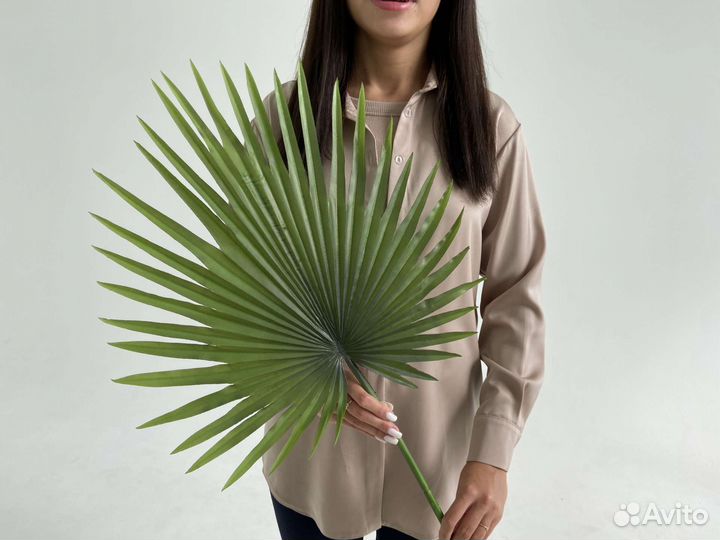 Растения искусственные листья пальмы для фитостен