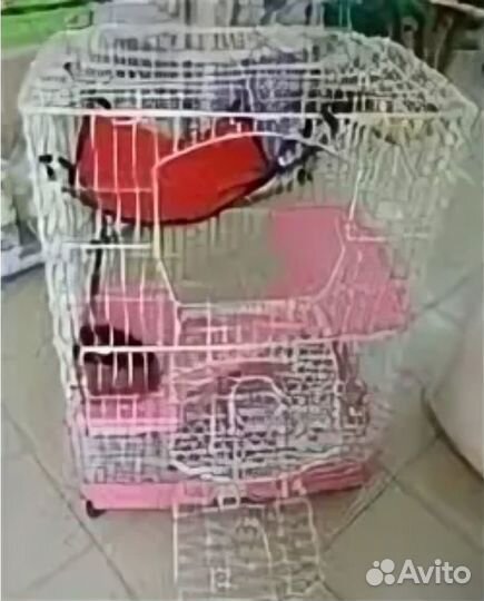 Клетка для шиншиллы бу