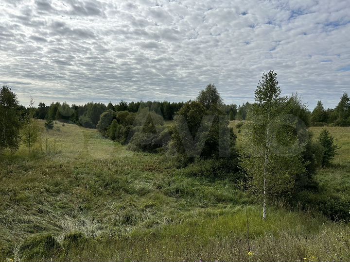 Участок 311 га (СНТ, ДНП)