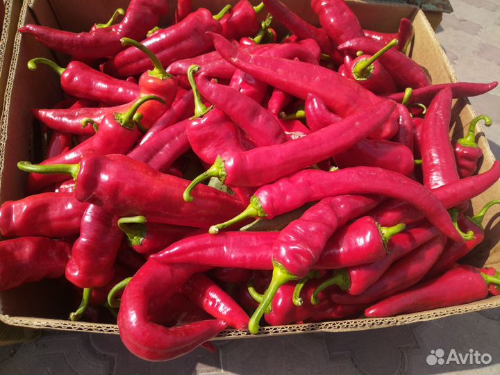 Семена перца(цицак)