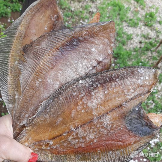 Мурманский вяленный Ерш