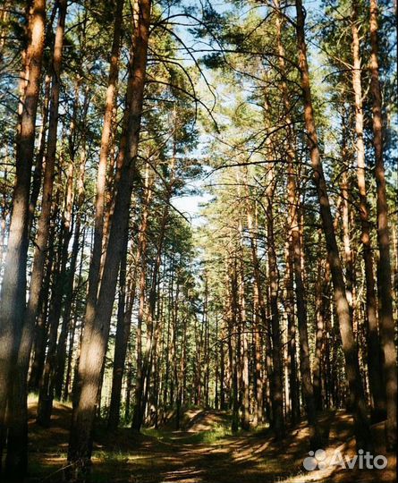 Пленочный фотоаппарат Zenit 520