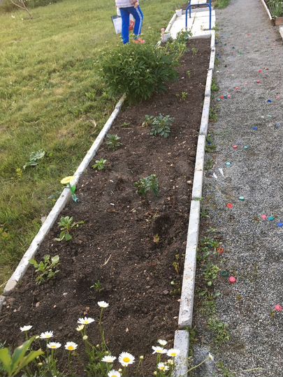 Участок 12 сот. (СНТ, ДНП)