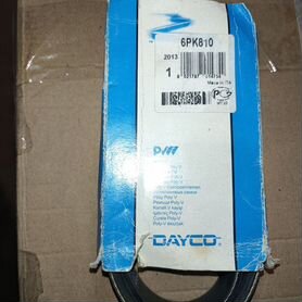 Ремень приводной Dayco 6PK810