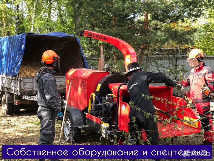 Расчистка участка, благоустройство территории