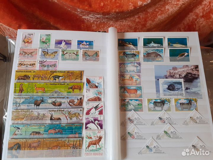 Марки,фауна,флора