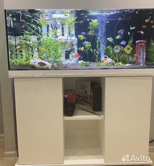 Продам аквариум под ключ. торг