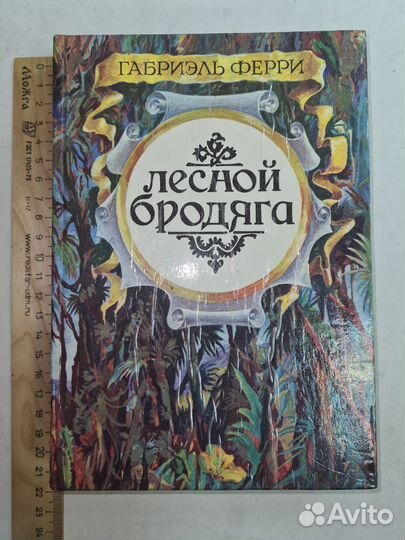 Книга. Лесной бродяга. Габриэль Ферри