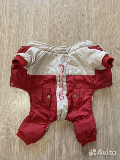 Теплый костюм для собаки