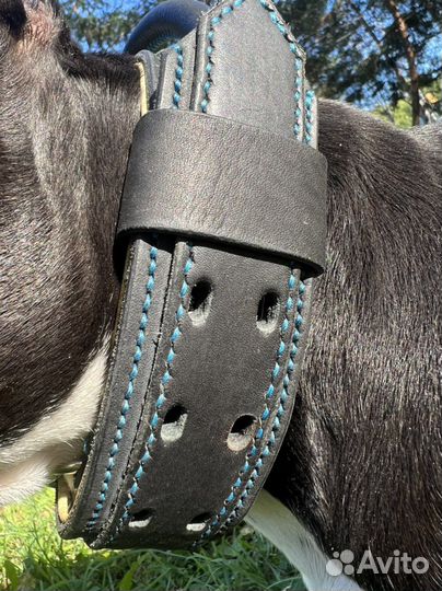 Ошейник для собак из кожи