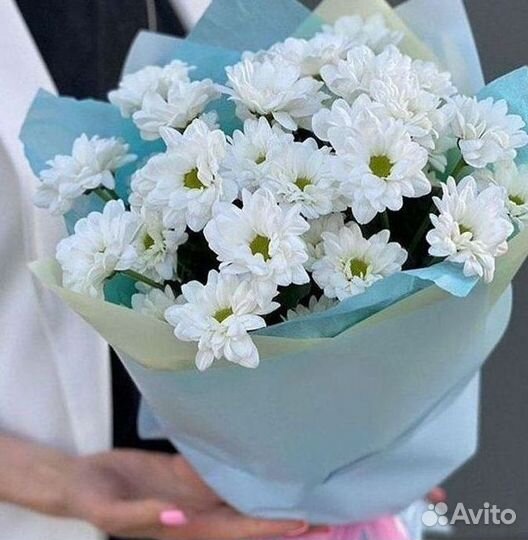 Хризантема