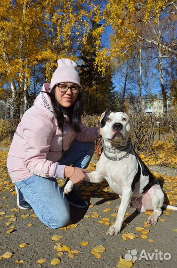 Вязка Стафф