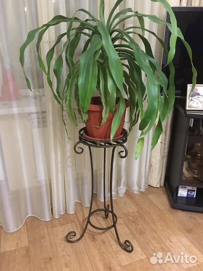 Подставка для цветов напольная,ручная ковка,новая