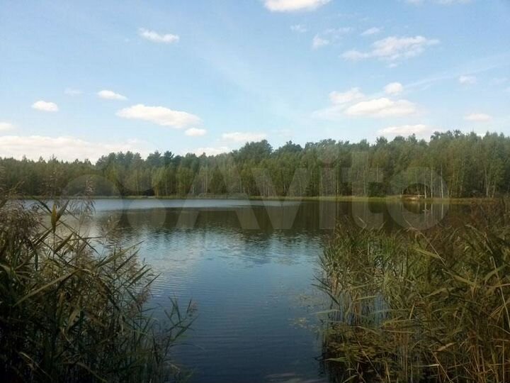 Участок 30 сот. (ИЖС)