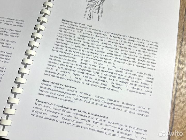 Пародонтологическая азбука