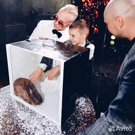 Треш бокс, угадай что внутри, детский аниматор