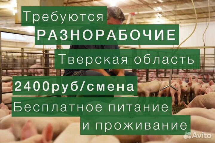 Работа вахта в Тверской области. 2400 смена