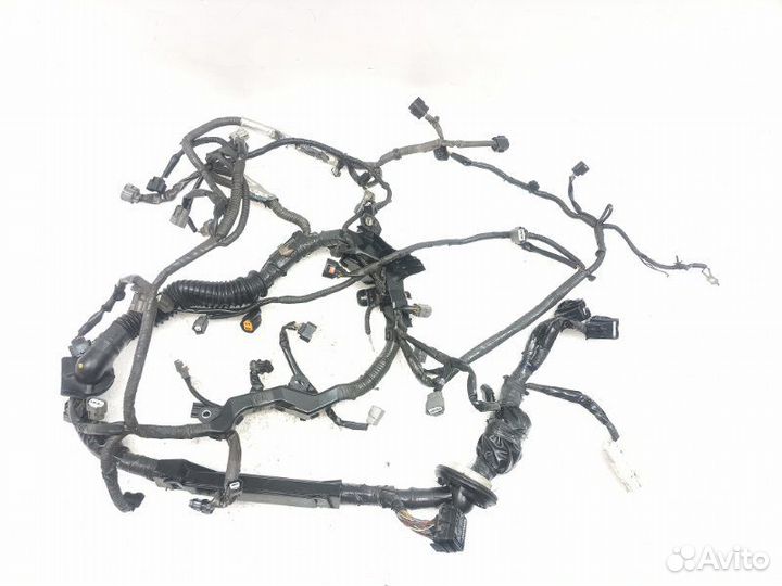 Проводка двс Infiniti G37 V36 3.7 VQ37VHR 2010