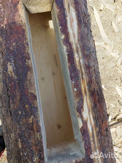 Колода для пчел